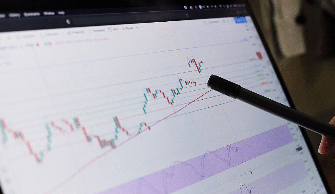 Case Study: Portfolio Monitoring System Re-Implementation