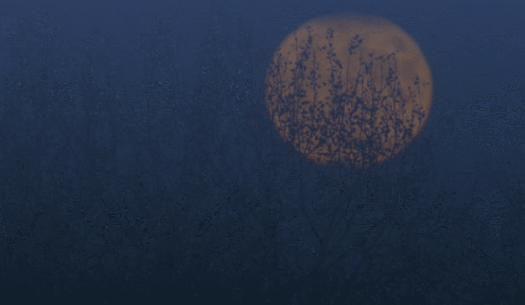 Weekly News: Week of 10/27/2025