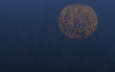 Weekly News: Week of 10/27/2025