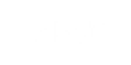 17 Capital