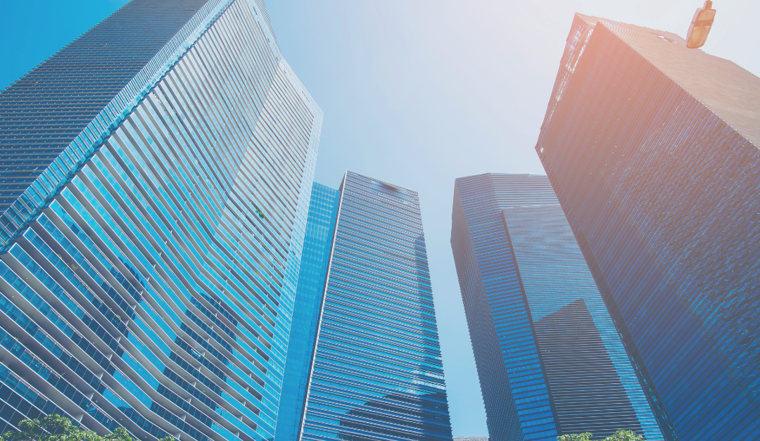 Case Study: How to successfully implement a Portfolio Monitoring solution for a Growth Equity firm with 100 Portfolio Companies